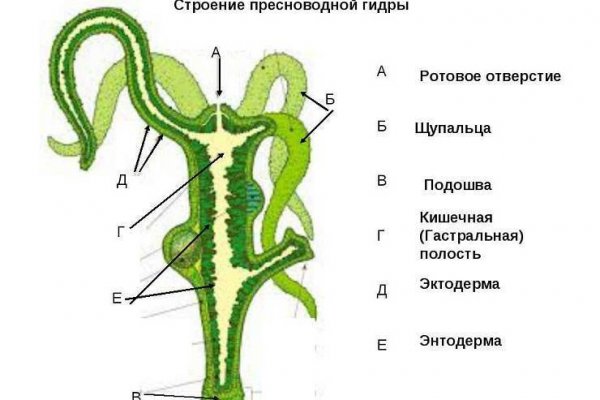 Кракен не работает